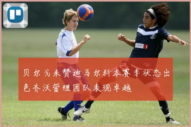 贝尔戈米赞迪马尔科本赛季状态出色齐沃管理团队表现卓越